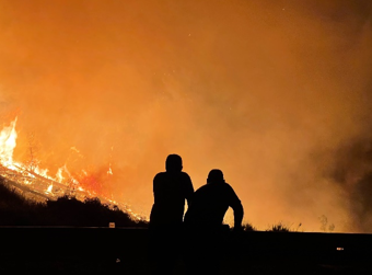 Forest fire. Author: Recep Tayyip