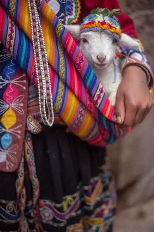 Source: https://images.pexels.com/photos/3947398/pexels-photo-3947398.jpeg, Author: Rodolfo Clix